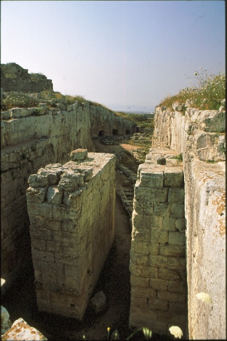Eurialos_1.jpg