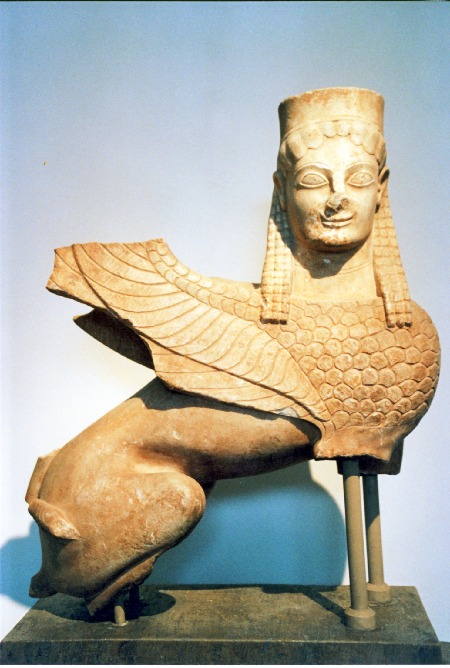 sphynx