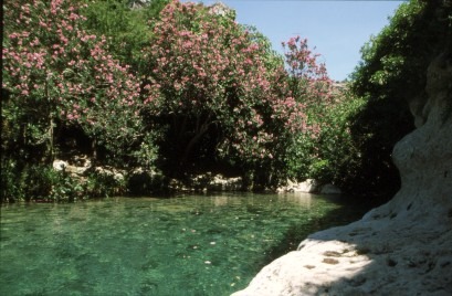 Pantalika-1.jpg
