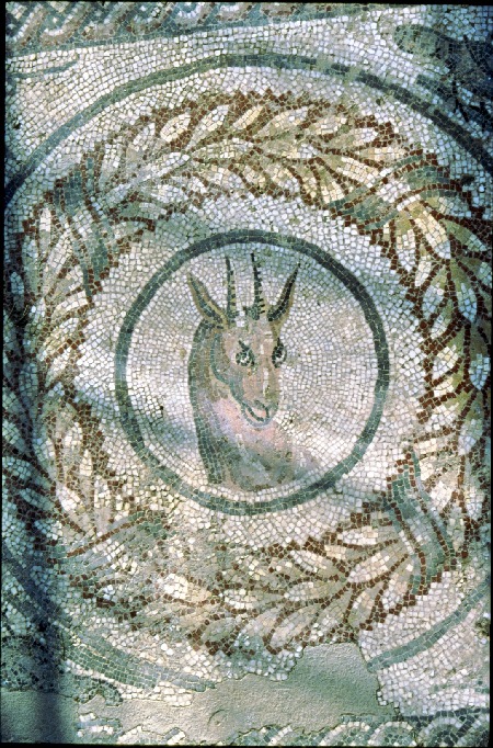 bock.jpg